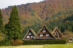 10月29～30日飛騨高山植樹ツアー開催！