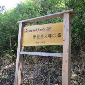 「Present Tree for 甲斐善光寺の森」植栽地視察に行ってきました！