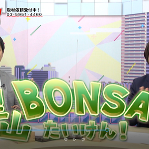 里山BONSAI作成キットが「トシマニュース」にて紹介されました